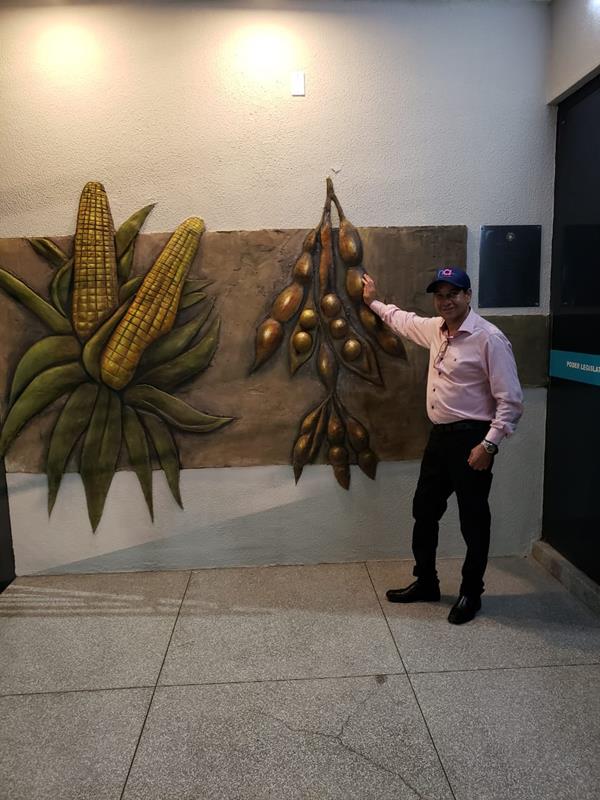 Reforma externa transforma Câmara de Aral Moreira em verdadeiro painel de obra de arte