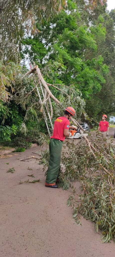 Bombeiros socorreram vítima de esfaqueamento e removeram árvore derrubada por vendaval nesse dia de Natal em Amambai