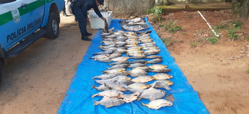 Operação Piracema: Com ações intensificadas PMA conquista resultados significativos contra a pesca predatória