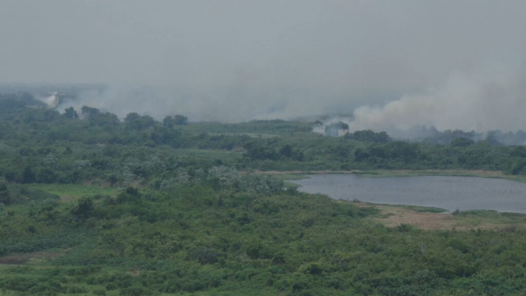 Com incêndio extinto no Pantanal de MS, bombeiros fazem monitoramento na Serra do Amolar