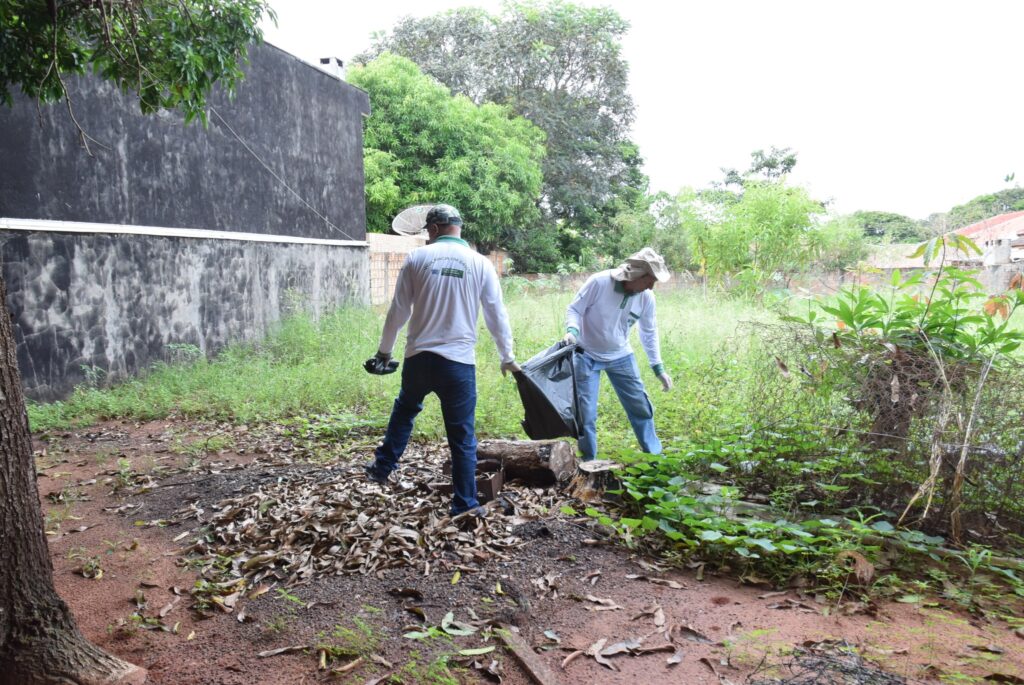 Mutirão de combate à dengue em Iguatemi: equipes da Saúde e da Secretaria de Obras se unem na limpeza da cidade