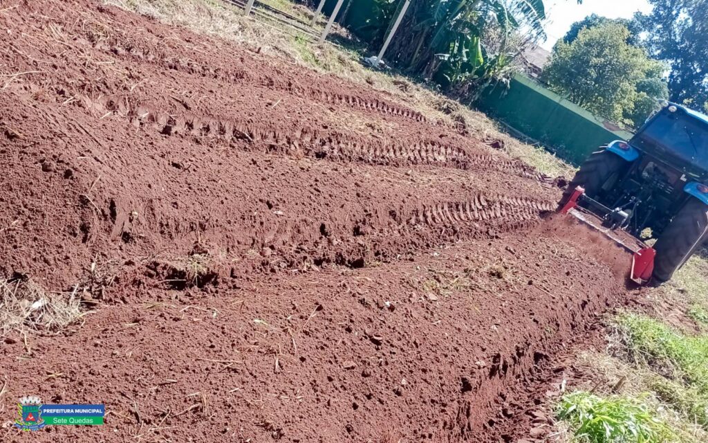 Projeto Horta Escolar cultiva conhecimento e sustentabilidade em Sete Quedas