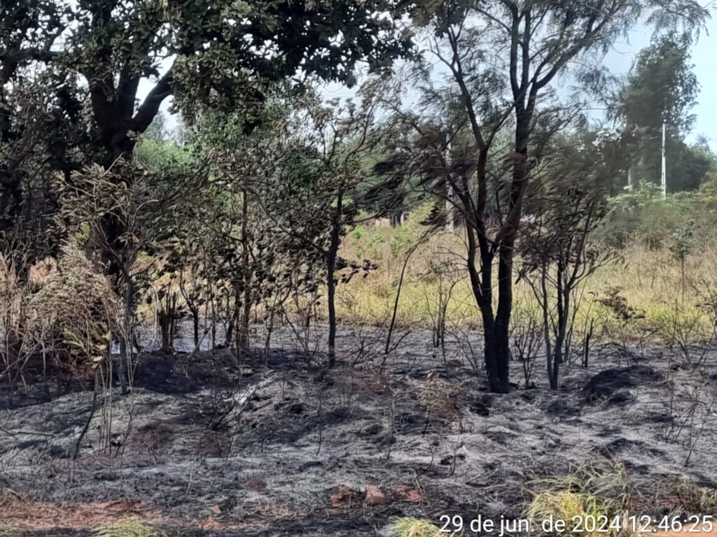 Corpo de Bombeiros atendeu ocorrências de incêndio neste sábado (29) em Amambai