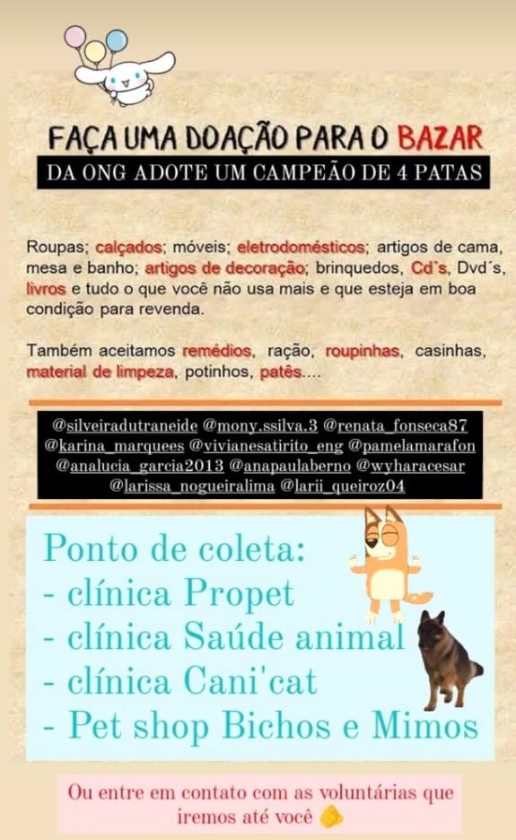 ONG Adote um Campeão de 4 Patas realiza bazar beneficente em julho e pede colaboração da população de Amambai