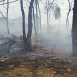 Corpo de Bombeiros combate incêndios em Amambai e Paranhos, com graves danos em áreas rurais e indígenas