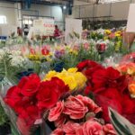 Começou nesta quarta-feira (25) a 13ª Feira das Flores em comemoração aos 76 Anos de Amambai