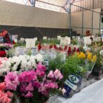 Começou nesta quarta-feira (25) a 13ª Feira das Flores em comemoração aos 76 Anos de Amambai