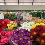 Começou nesta quarta-feira (25) a 13ª Feira das Flores em comemoração aos 76 Anos de Amambai