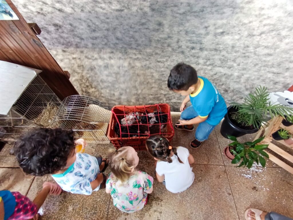 Tacuru - 2ª Mostra Pedagógica CEI Prof.ª Cláudia do Nascimento: "Toda Criança Tem o Direito de Perguntar e Explorar"