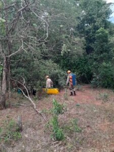 Bombeiros resgatam mulher ferida em cachoeira de difícil acesso em Amambai