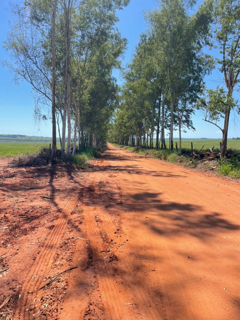 Vereadores Chacal e Joãozinho de Quadra vistoriam estrada rural em Paranhos