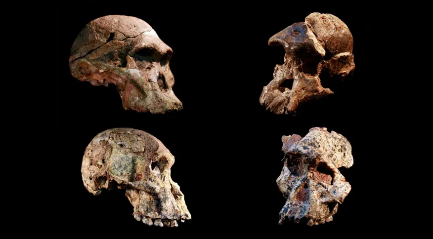 Fósseis humanos da África têm 1 milhão de anos a mais do que se pensava anteriormente