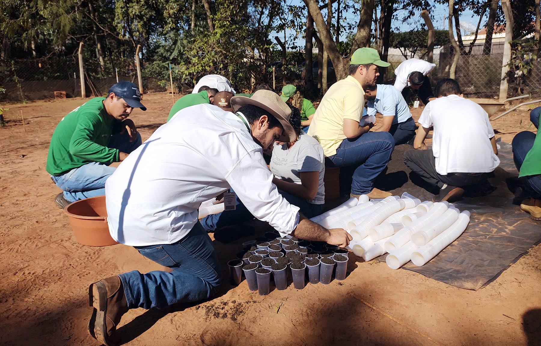 Parceria entre Prefeitura de Naviraí e Ciarama produz 4 mil mudas de ipê