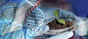 Empresa cria primeiros NFTs de dados genéticos do agro Empresa cria primeiros NFTs de dados genéticos do agro