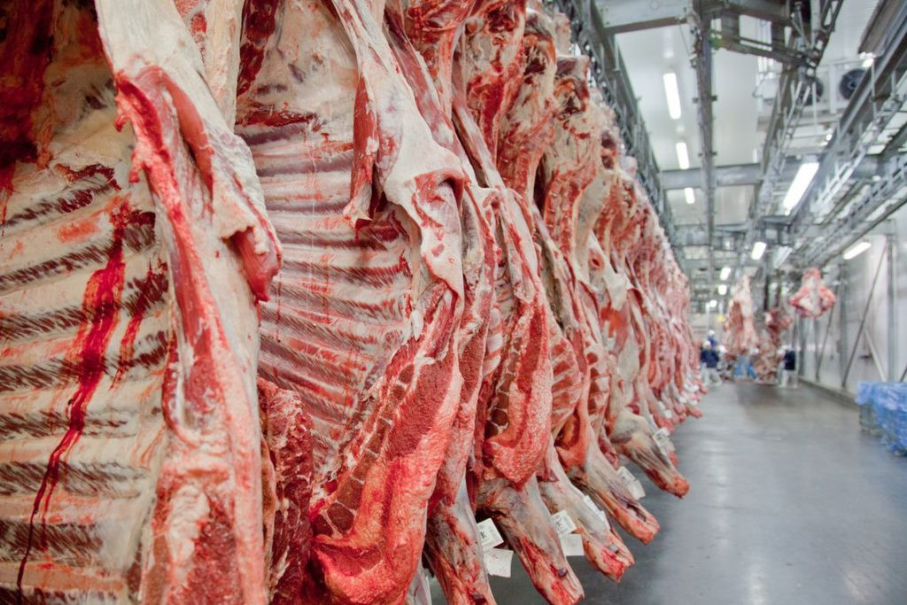 Exportações totais de carne bovina sobem 20% em maio