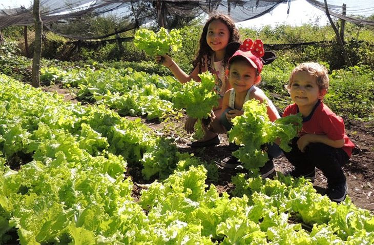 Projeto de produção agroecológica leva agricultores familiares à universidade para plantar ciência