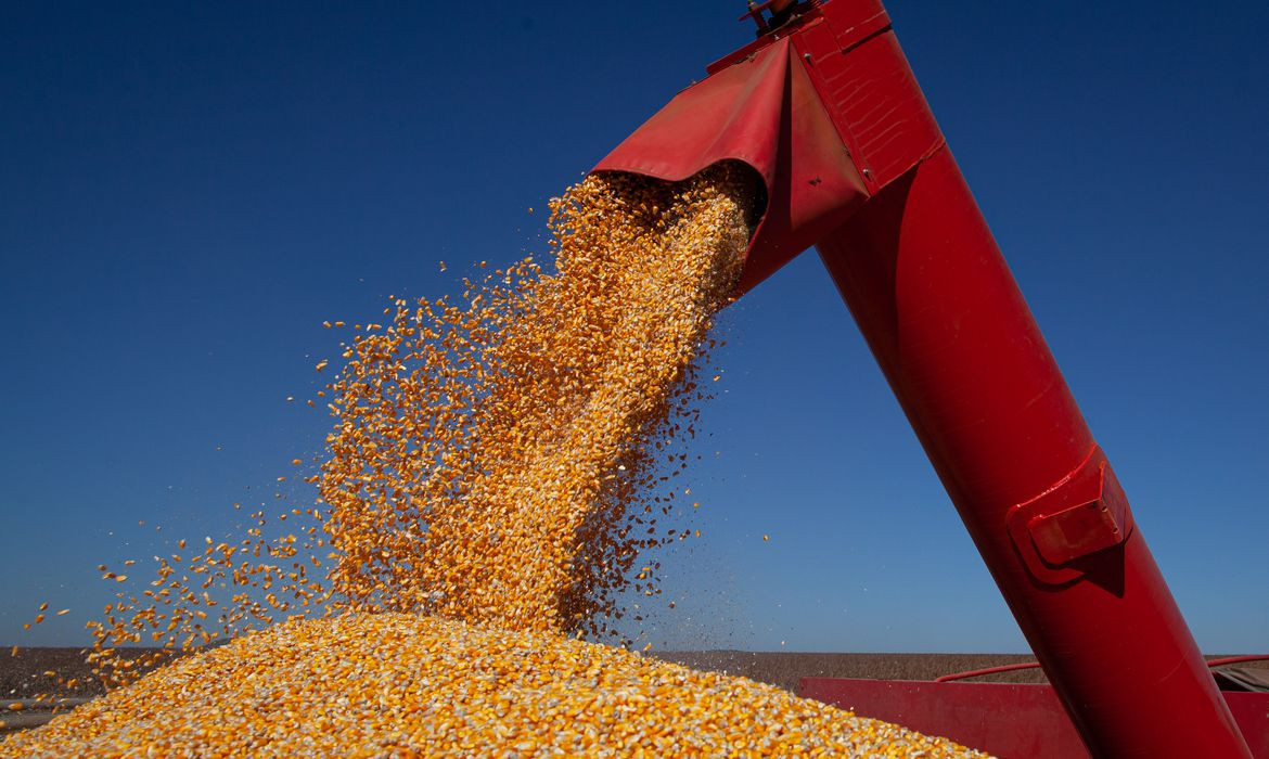 Brasil tem novos mercados para exportação de farelo de milho