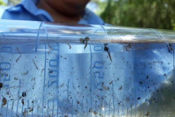 Dengue no Cone Sul do MS: Mais de 4 mil casos e 6 óbitos já foram confirmados em 2023