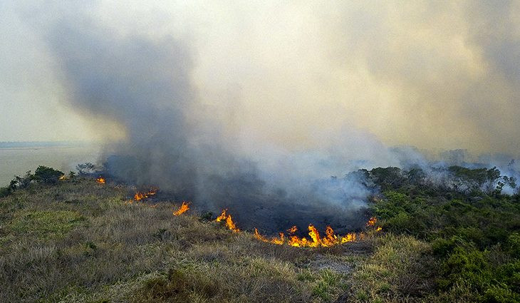 “Queima controlada” está proibida até o final do ano em Mato Grosso do Sul “Queima controlada” está proibida até o final do ano em Mato Grosso do Sul