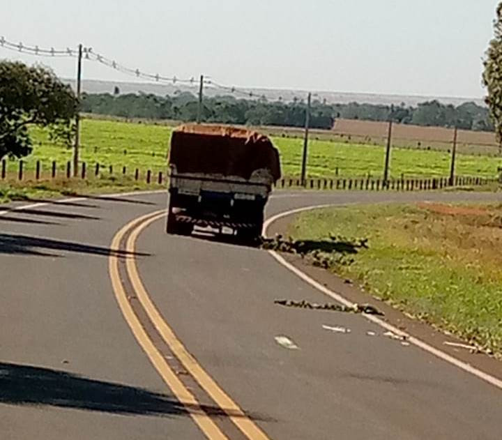 Caminhão parado em curva requer atenção dos motoristas entre Amambai e Coronel Sapucaia