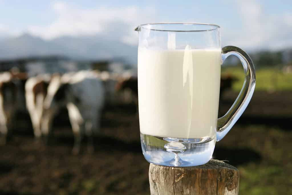 Preço do leite sobre 22% em julho
