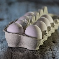 Projeções indicam crescimento na exportação de ovos