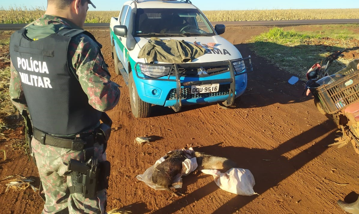 PMA de Amambai prende em Aral Moreira caçador por abate de dois animais silvestres da espécie cateto